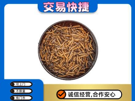 甘孜州得荣高价回收散虫草